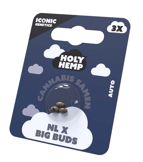 NL x Big Buds Cannabis Samen