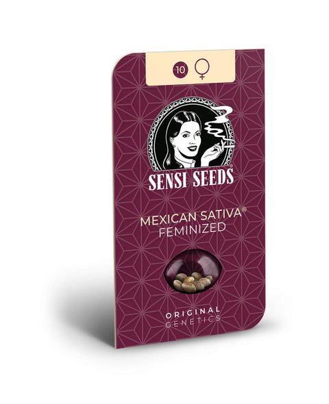 Sensi Seeds Mexican Sativa Feminized, weinrote Samenpackung mit Sichtfenster auf die Samen