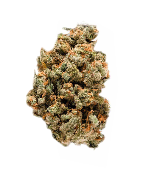 Jack Herer