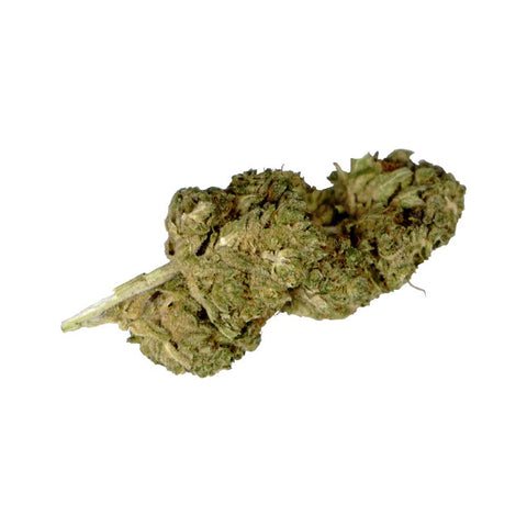 Sanaleo Northern Lights