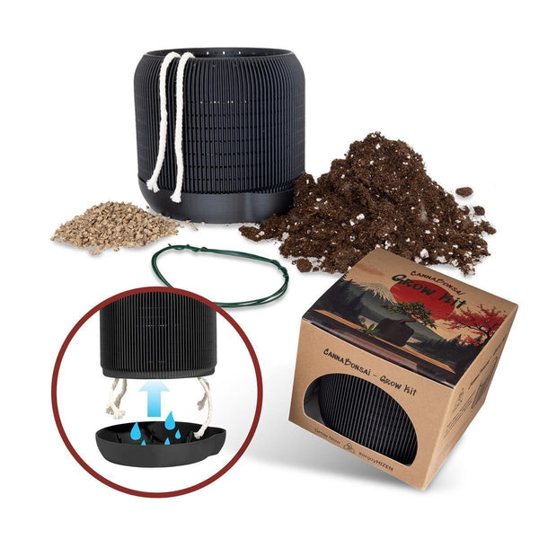 CannaBonsai Growing Kit Komplettset in Schwarz: Topf, Erde, Dünger, Draht und Karton