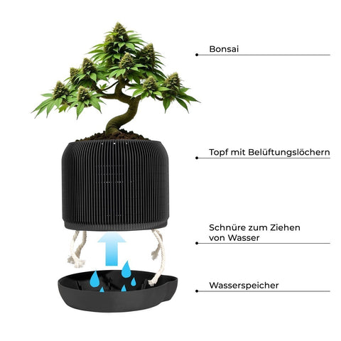 CannaBonsai Growing Kit - Komplettset Schwarz / ohne Samen