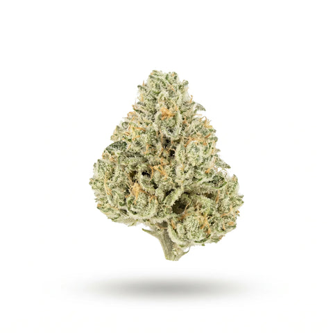 HiBros HHZ Blüten 2g White Widow 65%