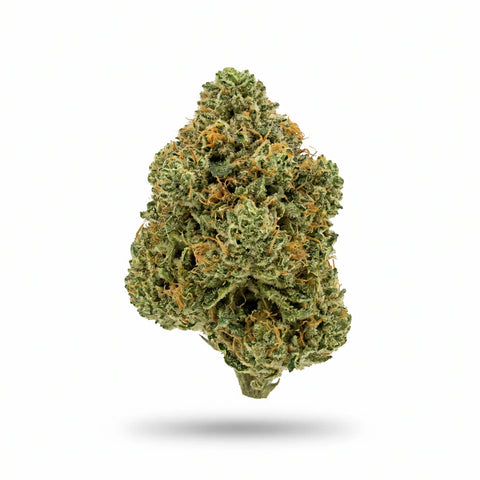 HiBros HHZ Blüten 2g Pepe Le Skunk 65%