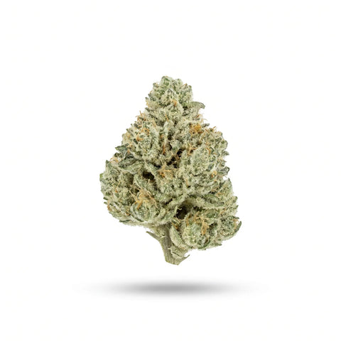 HiBros HHZ Blüten 2g Gorilla Glue 65%