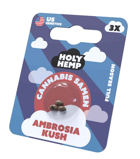 Ambrosia Kush Cannabis Samen