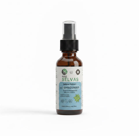 Chilcuague  Tinktur (Azteca Gold Root) Extrakt – 20 ml