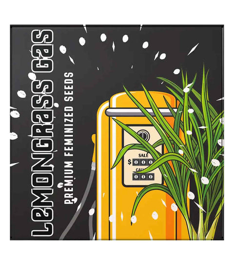 Doja Seeds - Lemongrass Gas