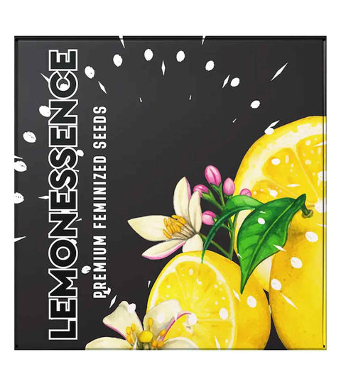 Doja Seeds - Lemonessence