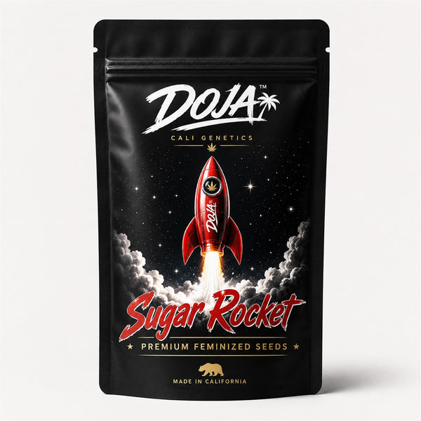 Doja Samen feminisiert Cali Genetik: schwarze Standbeutel-Packung Sugar Rocket mit roter Rakete