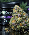 HiBros HHZ Blüten in schwarzer 2-g-Dose, daneben eine große Blüte auf dunklem, glänzendem Untergrund