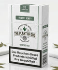 Plant of God Hanf Zigaretten, weiße Schachtel mit 20 Stück, daneben Hanfblätter als Deko