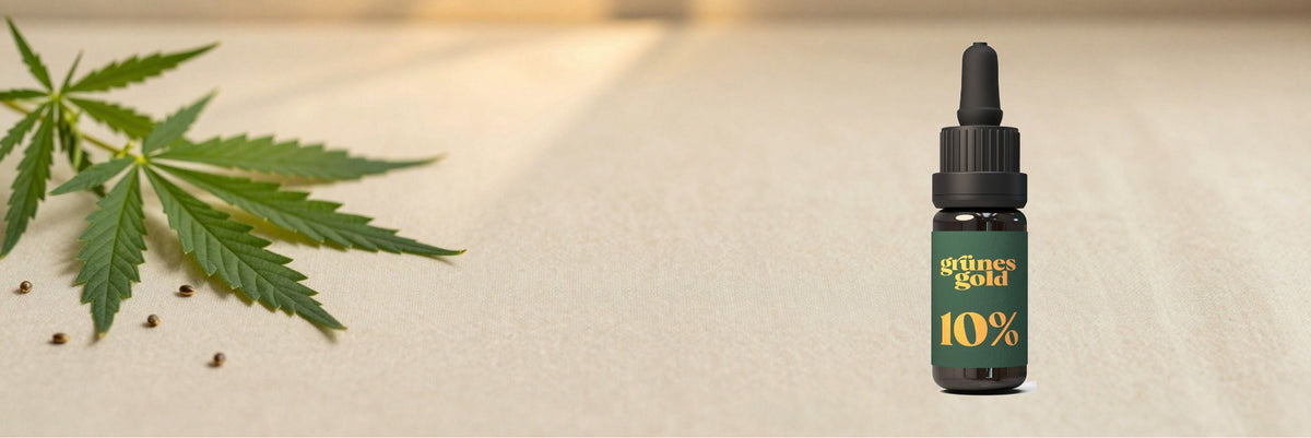 Flasche CBD-Öl 10 % von Grünes Gold neben frischen Hanfblättern auf hellem Tisch